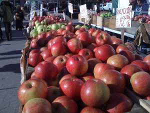 Apples at the Union Square Greenmarket.
