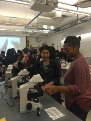 Students experimenting at the science lab open house.