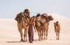 Walking Across Australia with Three Camels and A Dog