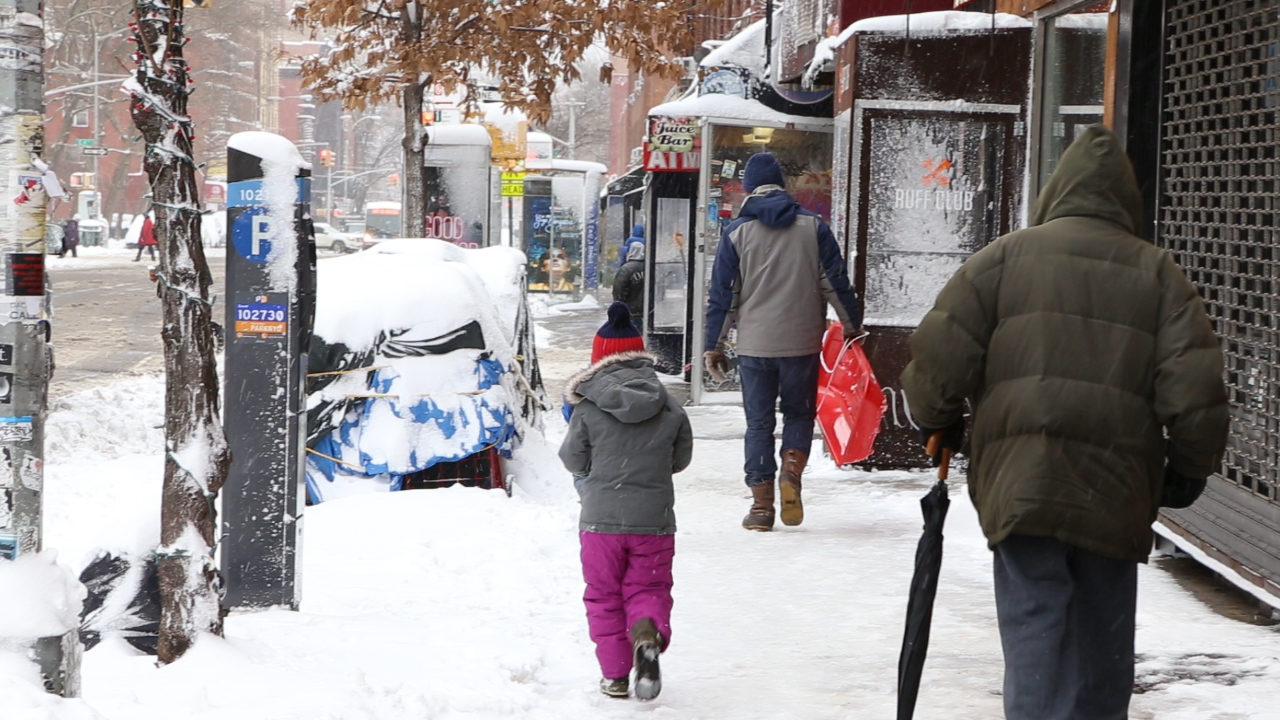Scenes From the Snow Day
