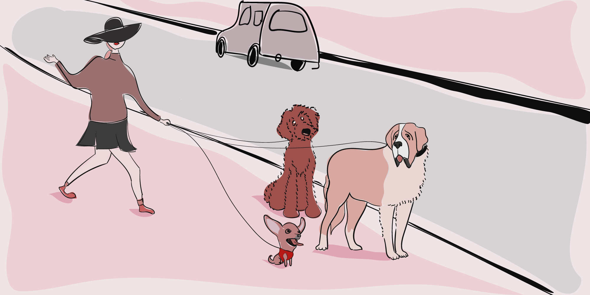 Confessions Of A New York City Dog Walker