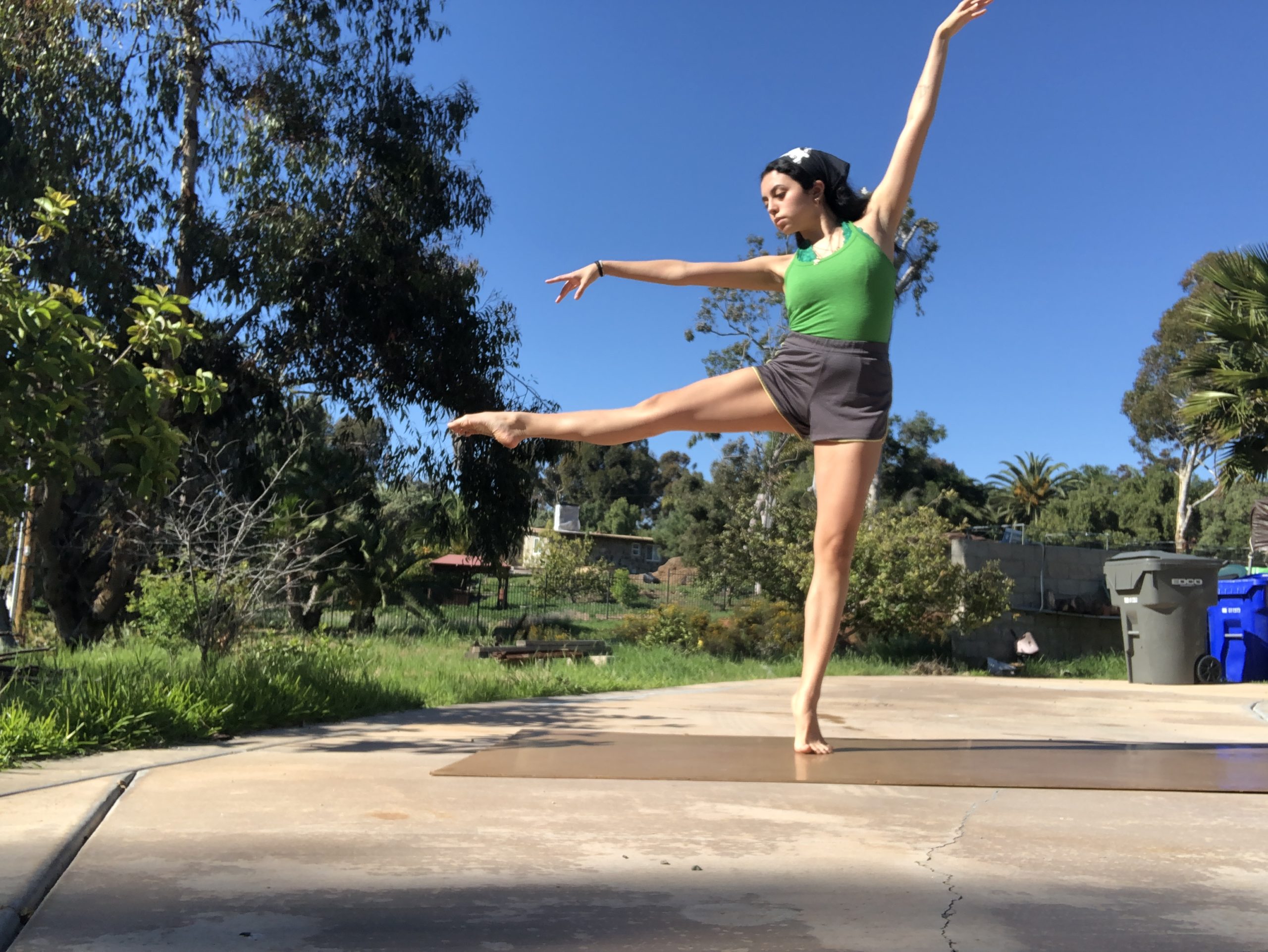 “Dancing on My Own”: Being a dancer in the age of COVID-19