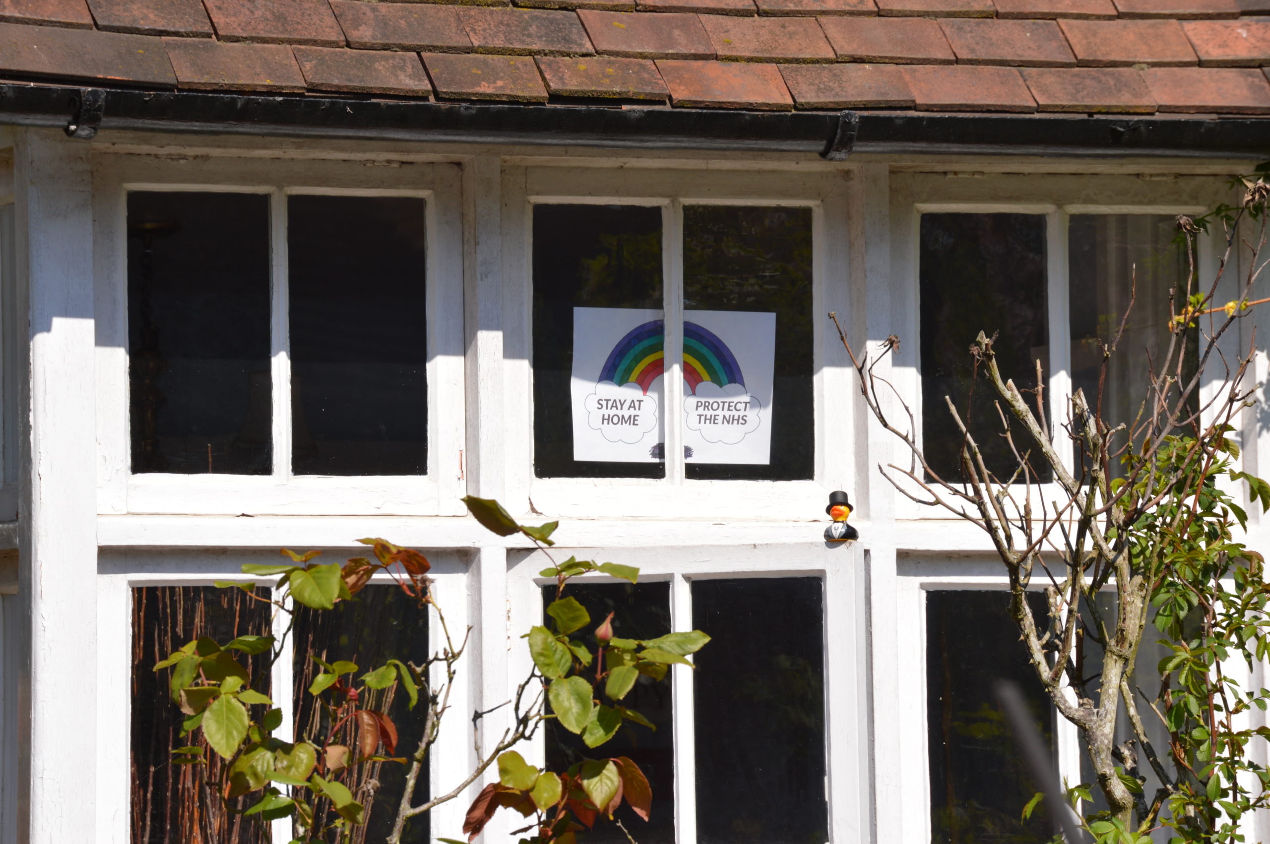 Rainbows in Radlett: Windows of Solidarity and Hope in North London