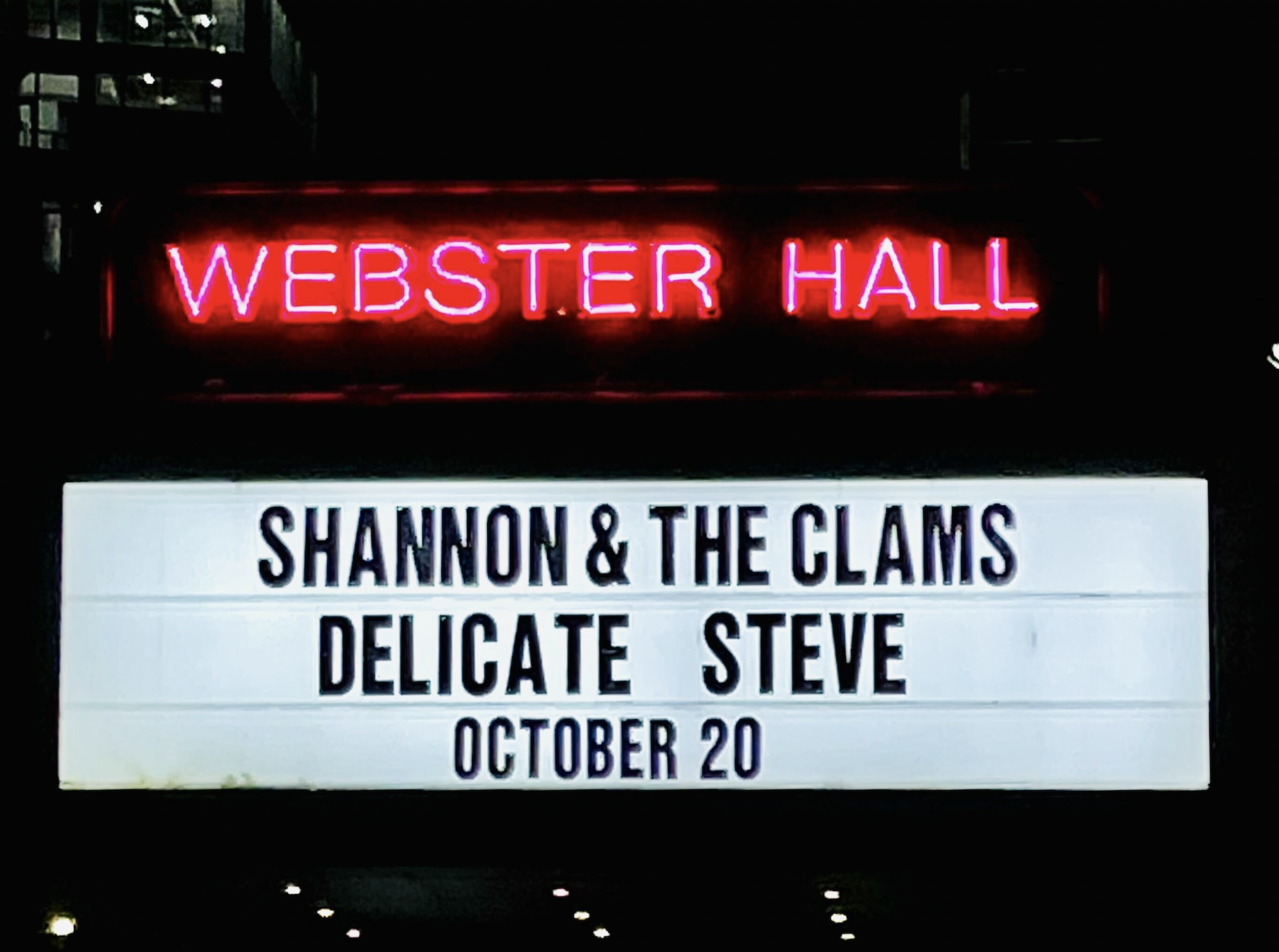Shannon and the Clams at Webster Hall