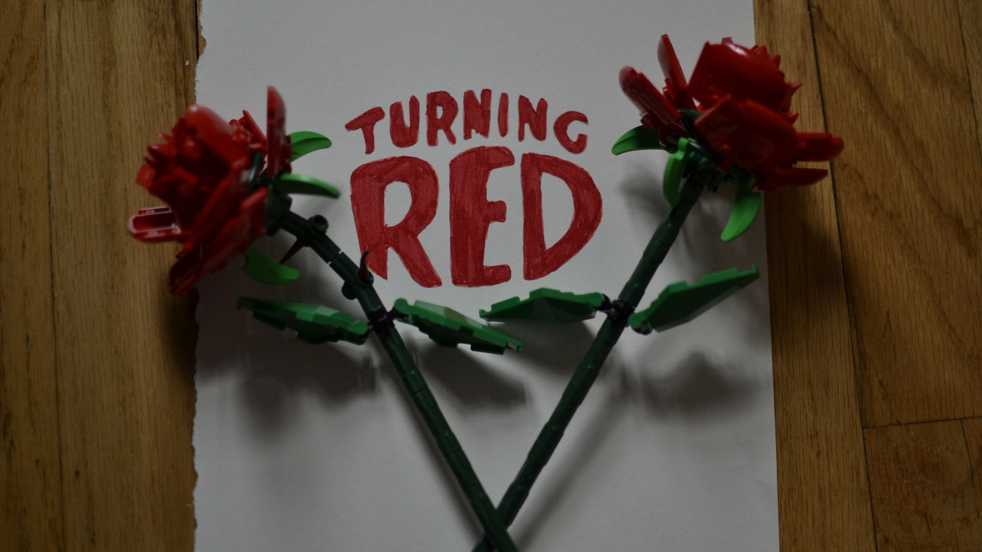 ‘Turning Red’ title card surrounded by lego roses.