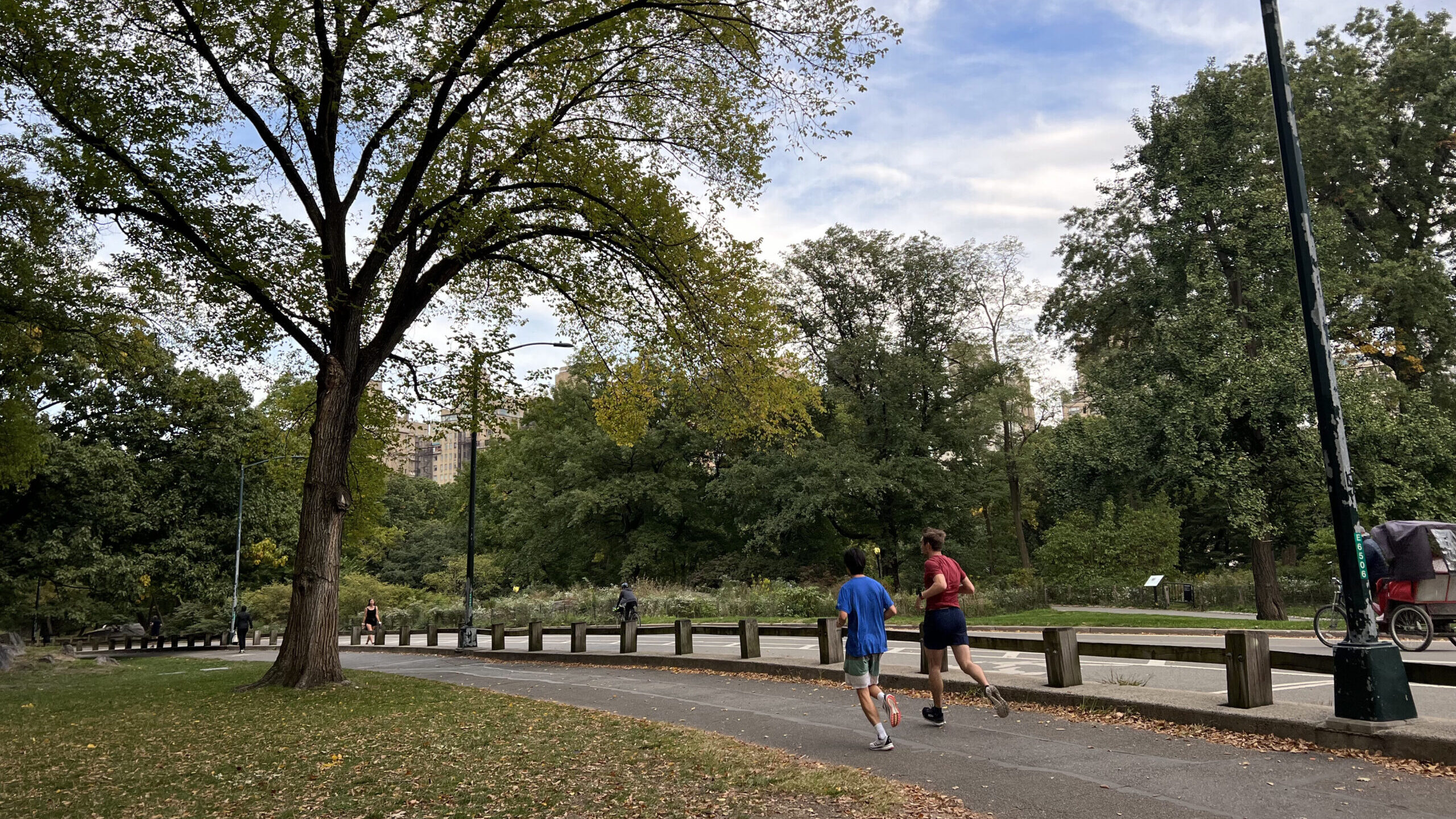 Runners outside of Central park
