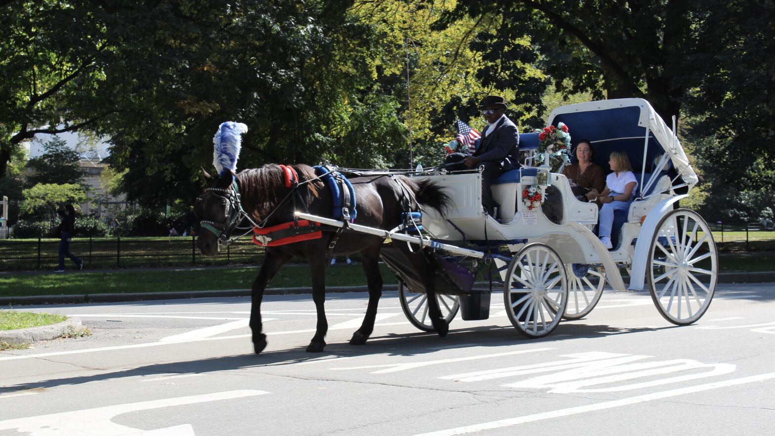 An extravagantly-dressed horse takes two passengers on a carriage ride through Central Park.