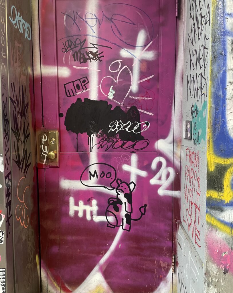 Graffitied pink doorway on sixth avenue. 