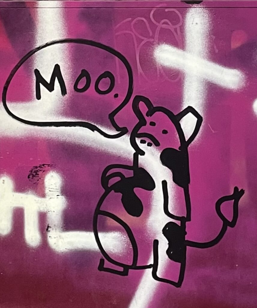 Simple cow drawing in black marker on a pink wall, "moo" in text bubble. 