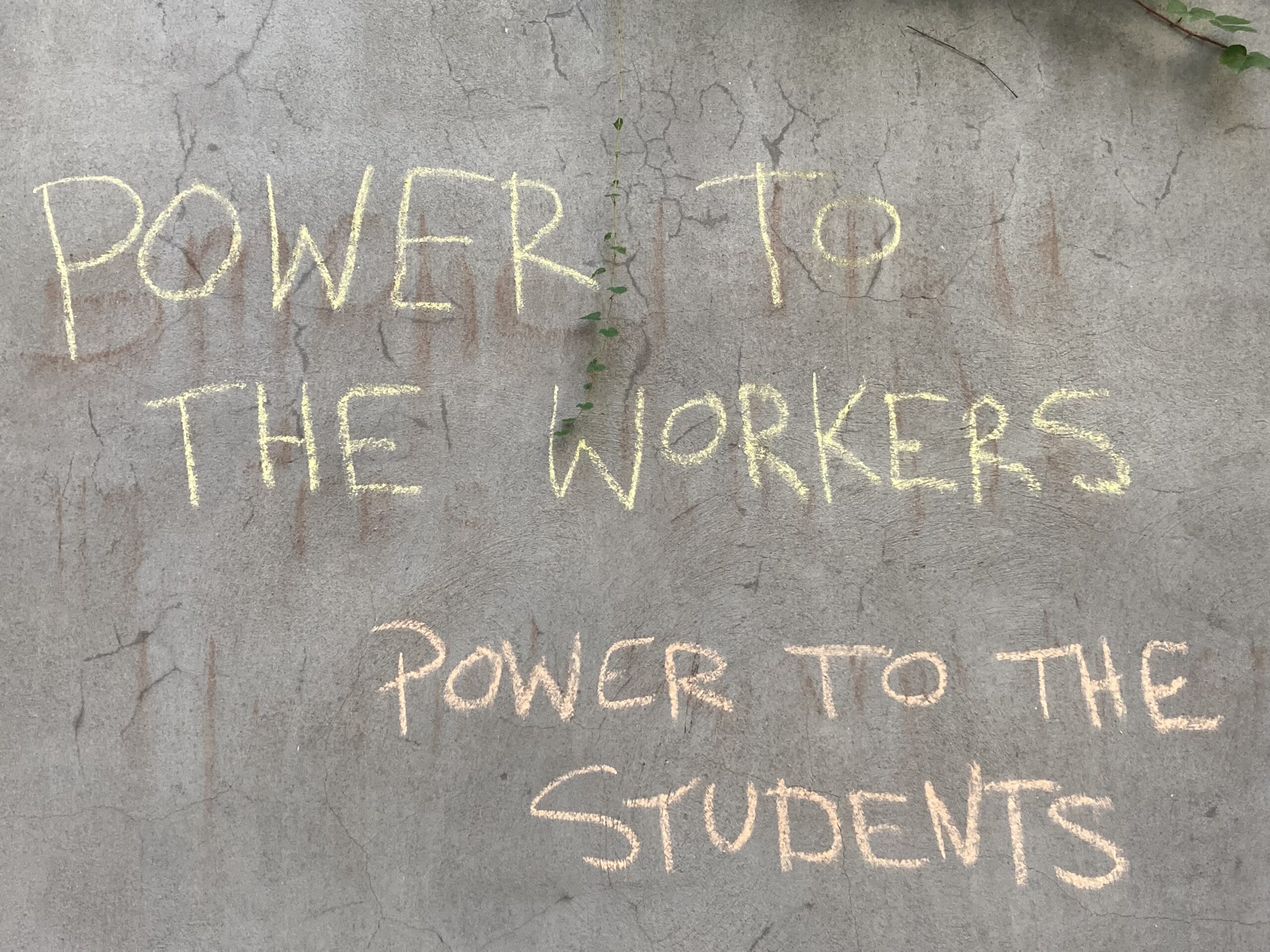 A gray wall with cracks in it has writing in chalk in all capital letters. In yellow chalk, it reads “POWER TO THE WORKERS”. Below that, in orange chalk, it reads“POWER TO THE STUDENTS”. A string of green leaves is coming down from the top of the wall and rests over the word “WORKERS.”