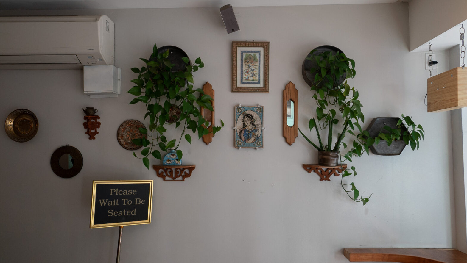 A white wall with plants hanging on it.