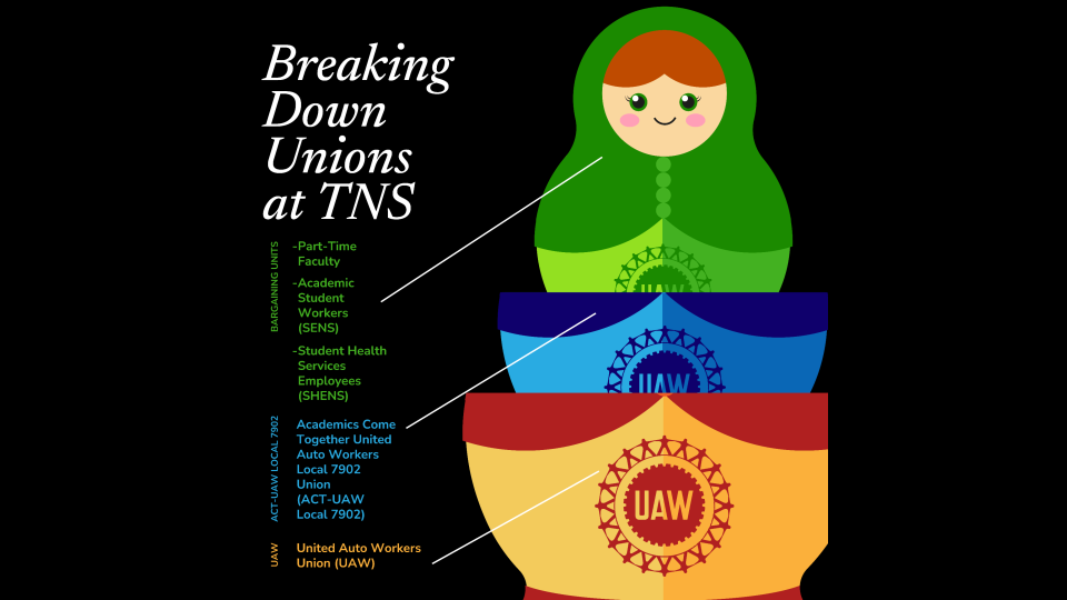 An illustration of a Russian doll diagram that demonstrates how unions work. The Headline text says “Breaking Down Unions at TNS.” The russian doll is in three pieces. The largest body piece on the bottom is labeled United Auto Workers Union (UAW). Inside that piece is another body piece labled Academics Come Together United Auto Workers Local 7902 Union (ACT-UAW Local 79020. Inside of that is a tiny, full doll labeled Bargaining Units. This demonstrates how the breakdown of unions works.