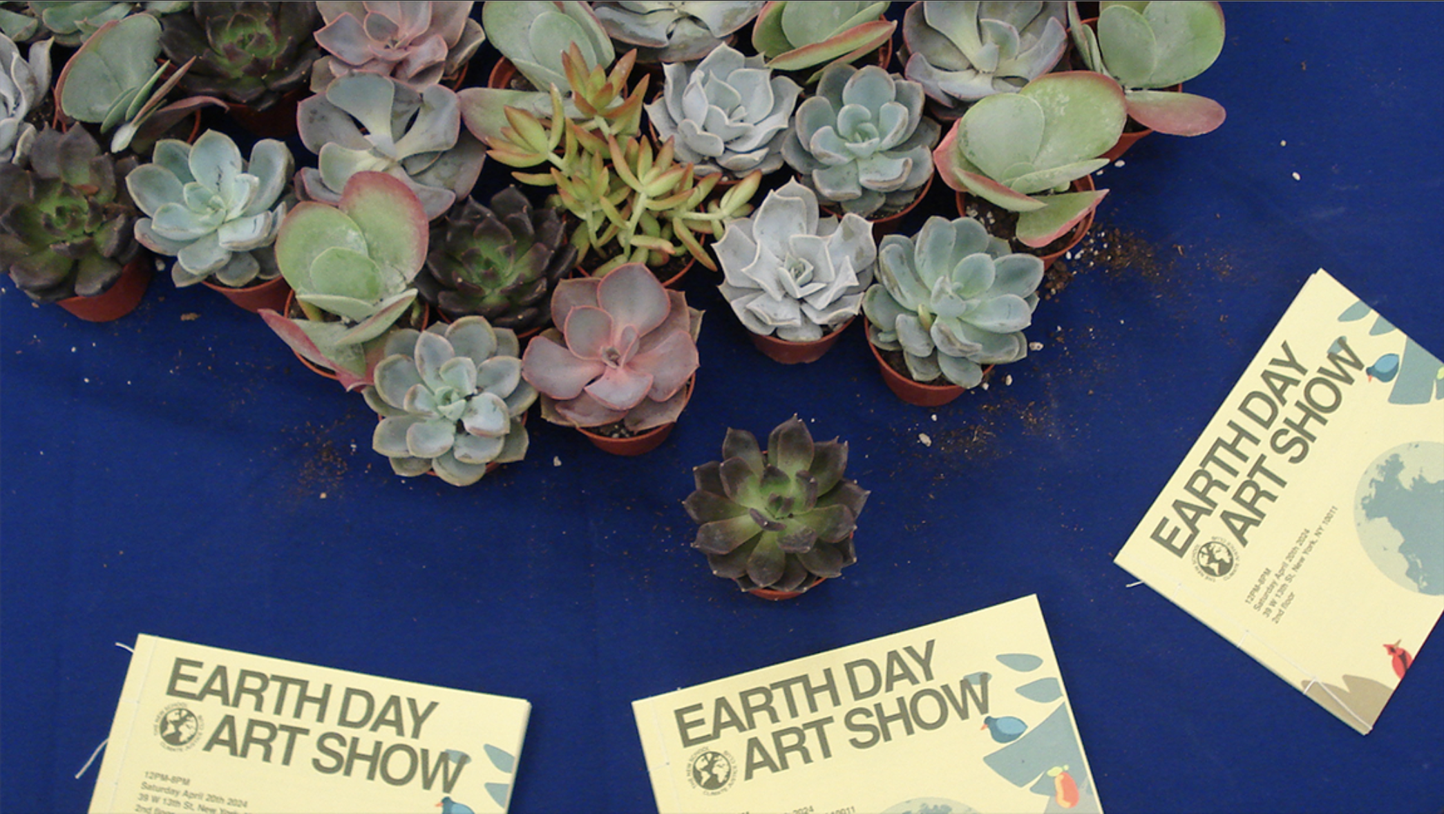 A variety of small succulents on a dark blue tablecloth cover the top half of the image. Below, booklets with “Earth Day Art Show” spelled on them are arranged.