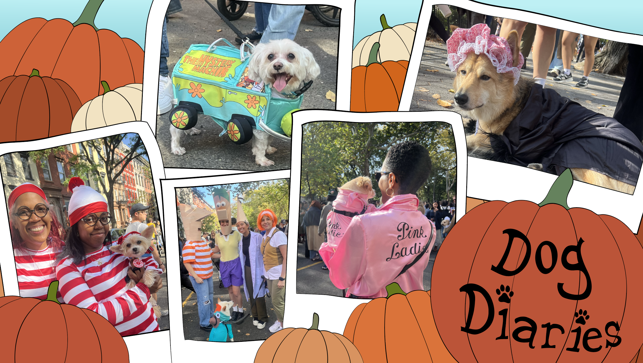 Dog Diaries: Tompkins Square Halloween dog parade