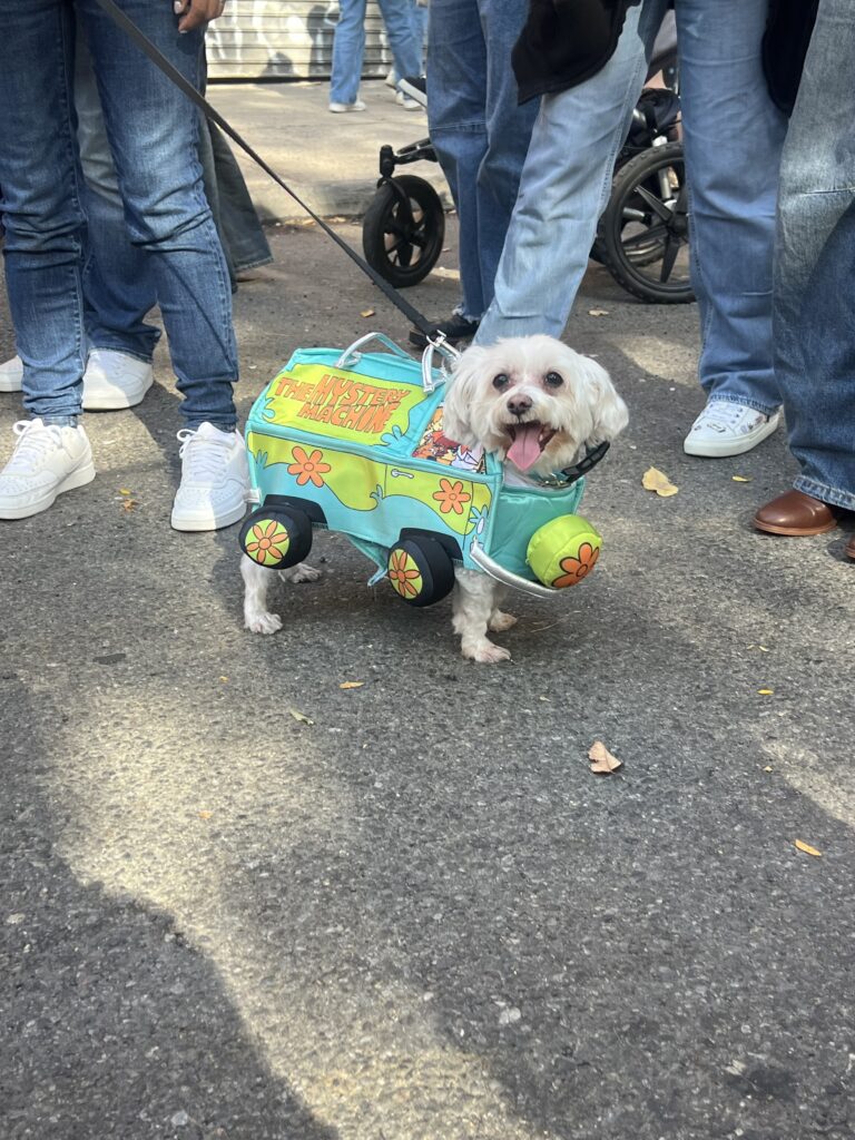 A small white dog stands on a street wearing a colorful costume shaped like the Mystery Machine van from Scooby-Doo. The dog’s tongue is out, and people in jeans and sneakers are standing around in the background.
