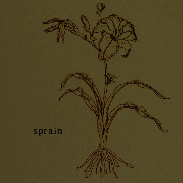 Sprain album cover