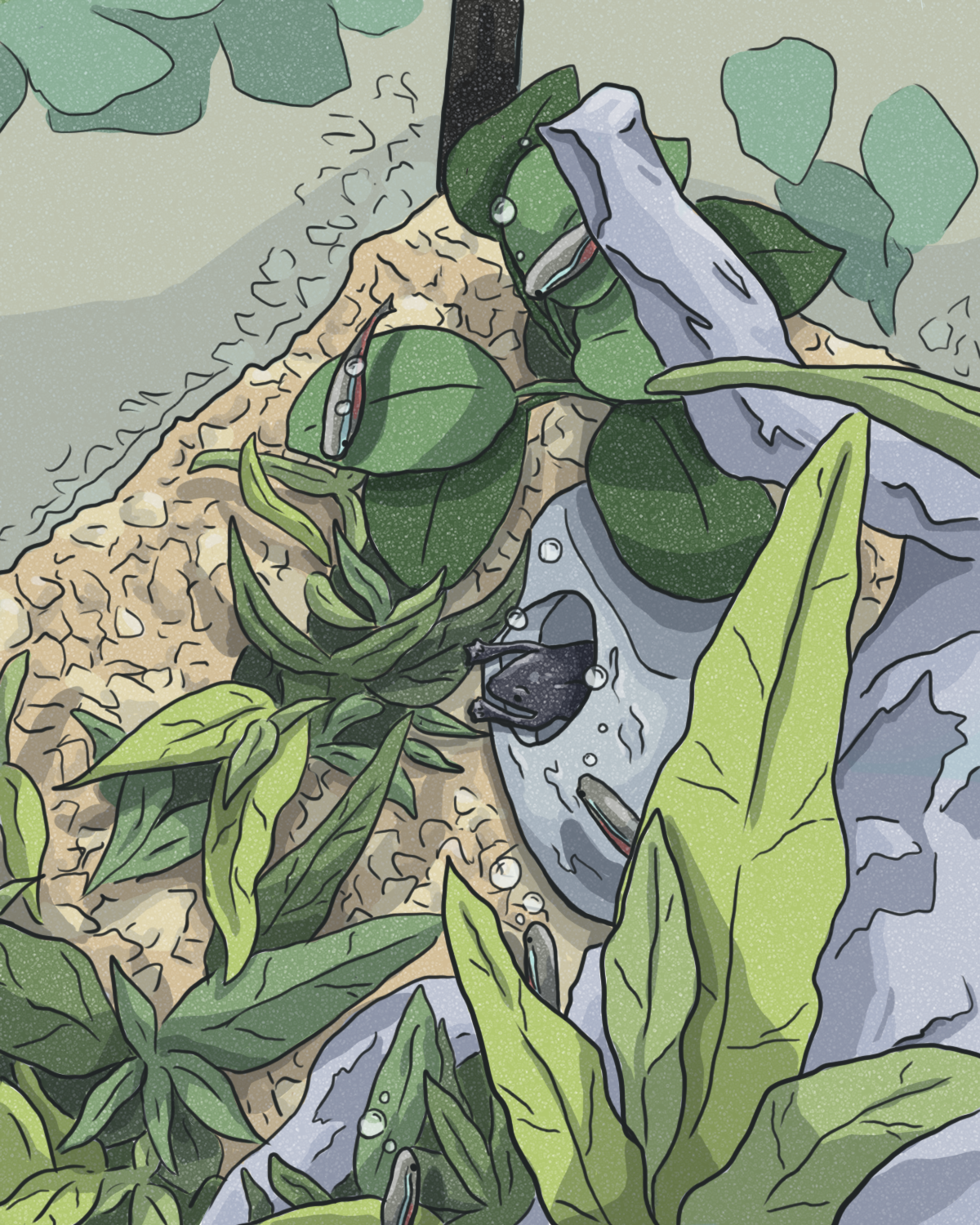 Impromptu: Aquarium life