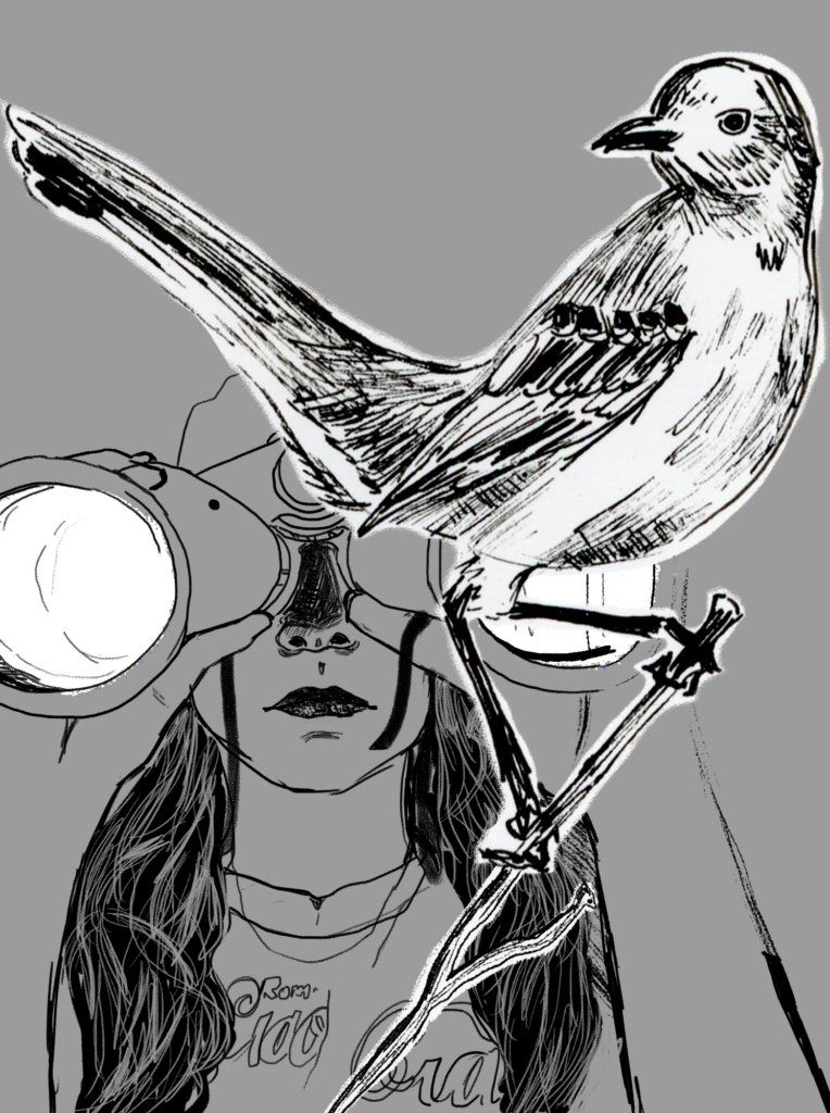 A girl looks through binoculars to find a bird.