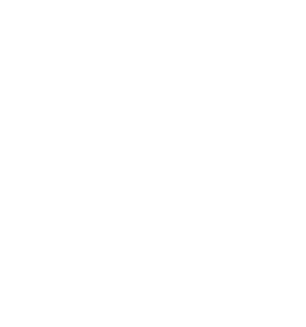 NSFP logo in white